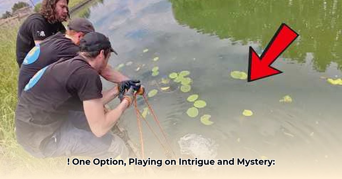 bondi-treasure-hunter-net-worth